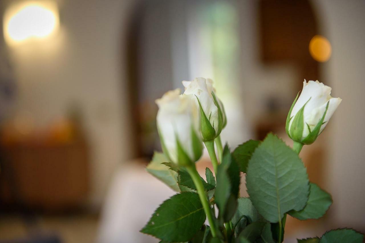 Bed And Breakfast Sweet Home Tirano Ngoại thất bức ảnh